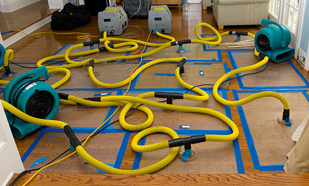 Professional Emergency Water Removal technician working in Decherd, TN